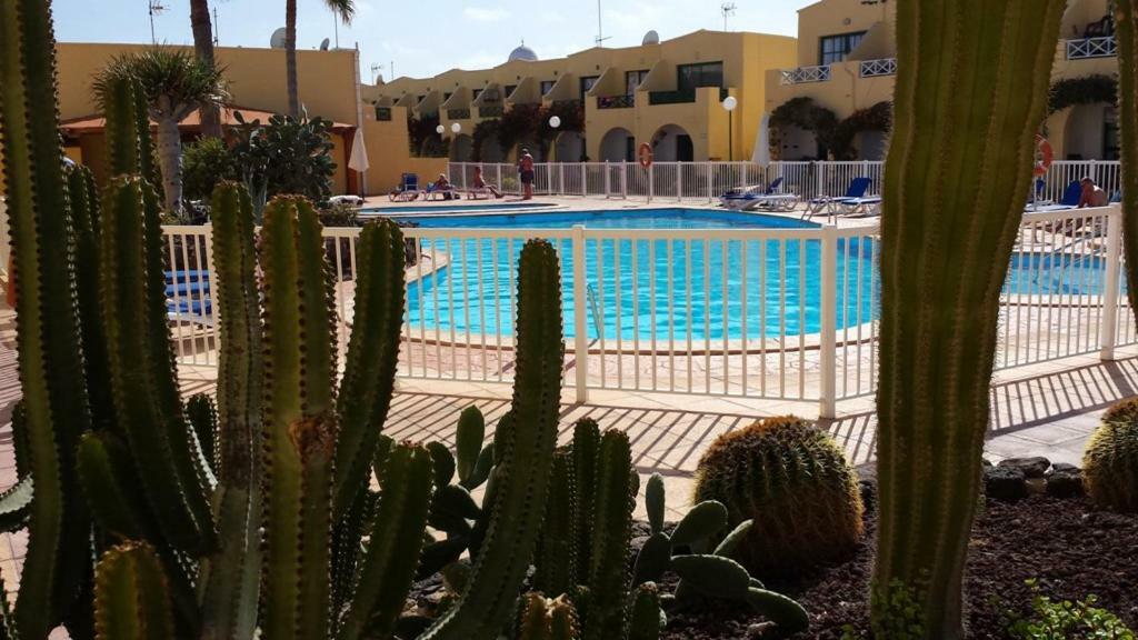 Ferienwohnung Castillo C5-C6 Caleta De Fuste Exterior foto